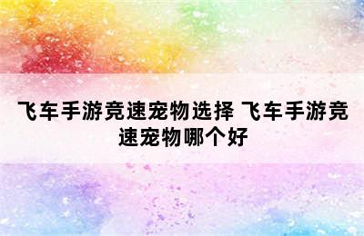 飞车手游竞速宠物选择 飞车手游竞速宠物哪个好